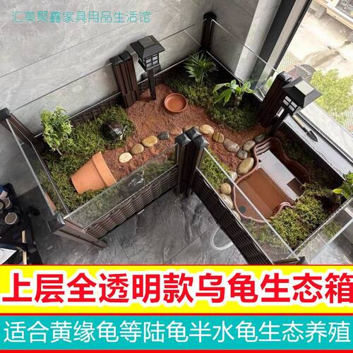 透明乌龟景观生态箱陆龟