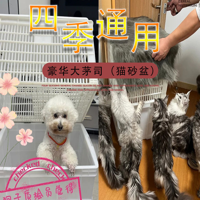 网红自制猫砂盆不漏带砂