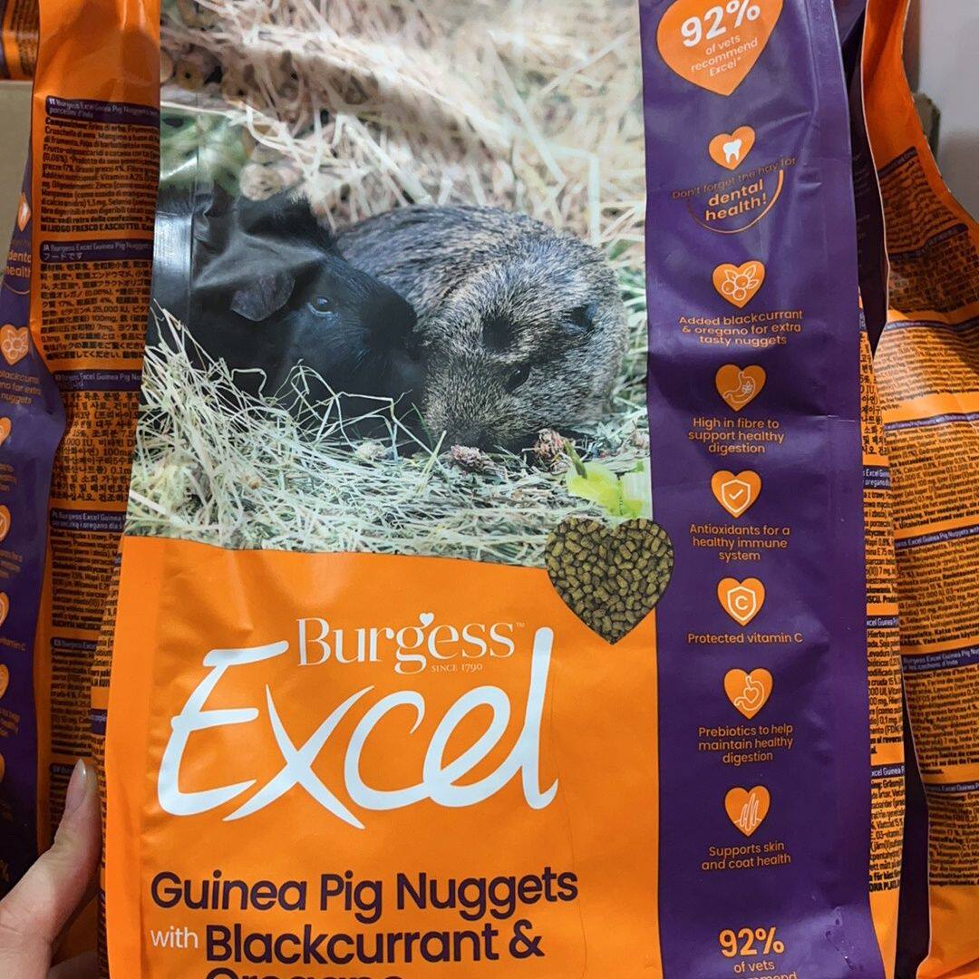 英国Burgess布格斯豚鼠粮黑加仑豚鼠粮天竺鼠粮荷兰猪粮2027.03