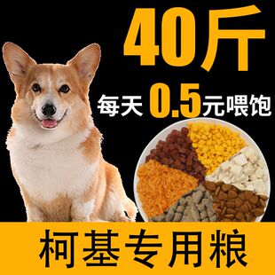 柯基专用狗粮40斤大袋科基小型犬成犬幼犬20斤装冻干奶糕主粮