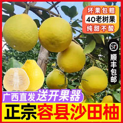 正宗广西容县沙田柚子新鲜水果纯甜现摘50斤白心长寿柚金柚子包邮