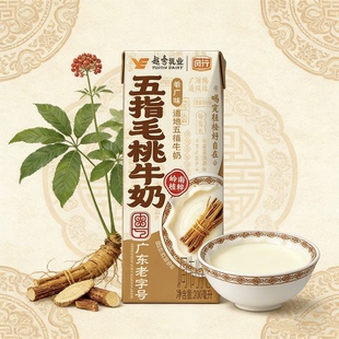 新品风行五指毛桃牛奶限定200ml/盒装草本配方广府风味好靓汤