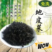 包邮 甘肃野生免洗地皮菜 水洗地软地耳地达菜雷公菌干货西北特产