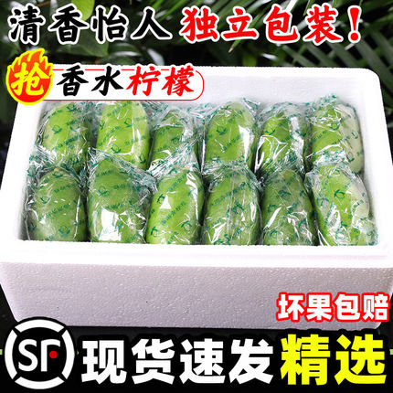香水柠檬新鲜应当季水果顺丰海南非广东无籽青柠檬奶茶店专用9斤