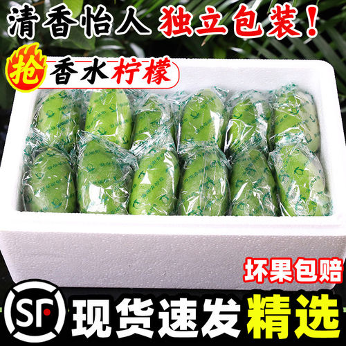 香水柠檬新鲜应当季水果顺丰海南非广东无籽青柠檬奶茶店专用9斤