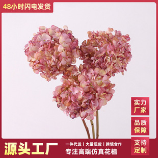 仿真花焦边绣球花复古 饰拍摄假花 室内装 饰仿真花家居客厅插花装