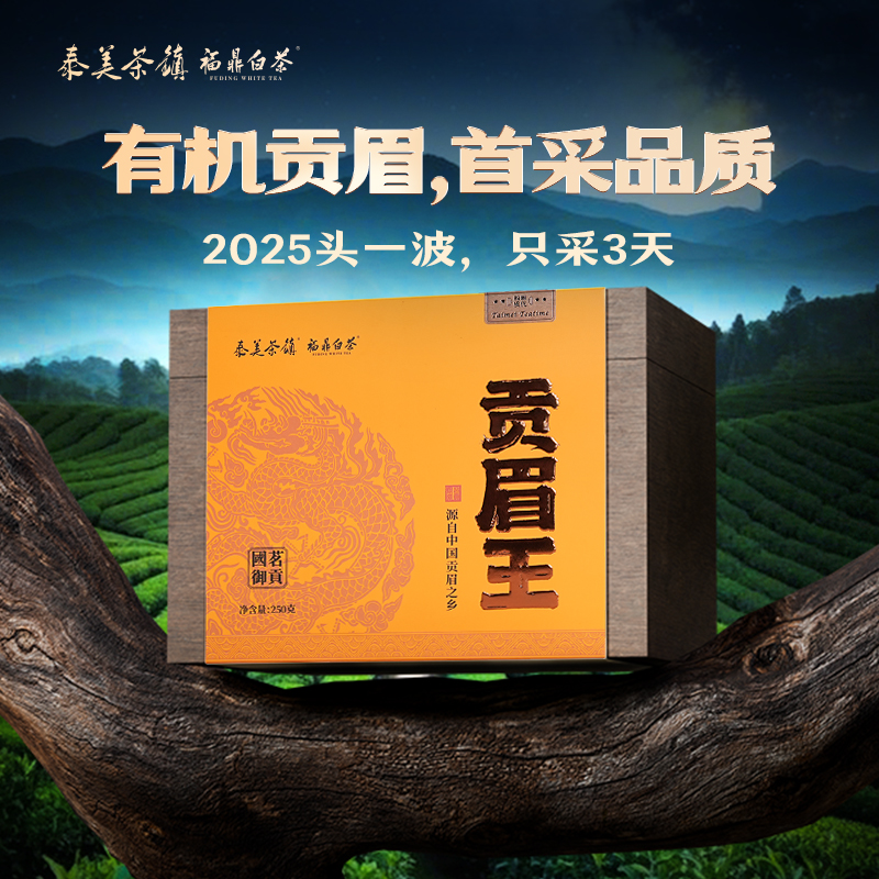 福鼎白茶2025年首采貢眉王250g