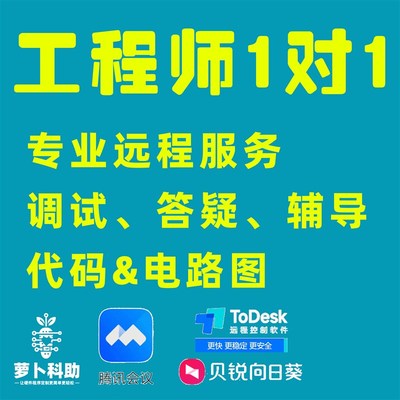 工程师1一对1一 代码Debug 单片机程序调试讲解 远程答疑辅导服务