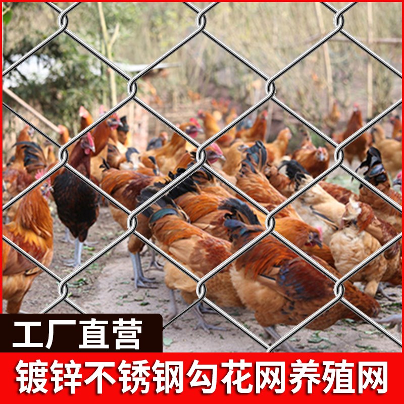 加粗热镀锌钢丝围栏网勾花网护栏隔离栅栏养殖牛羊狗猪动物圈地网