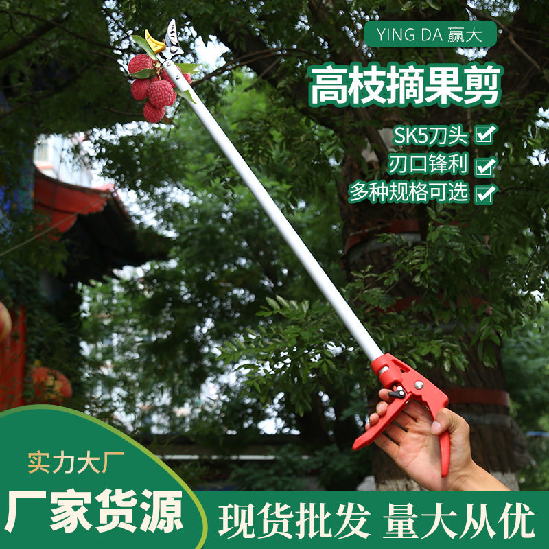 伸缩高枝摘果剪荔枝龙眼