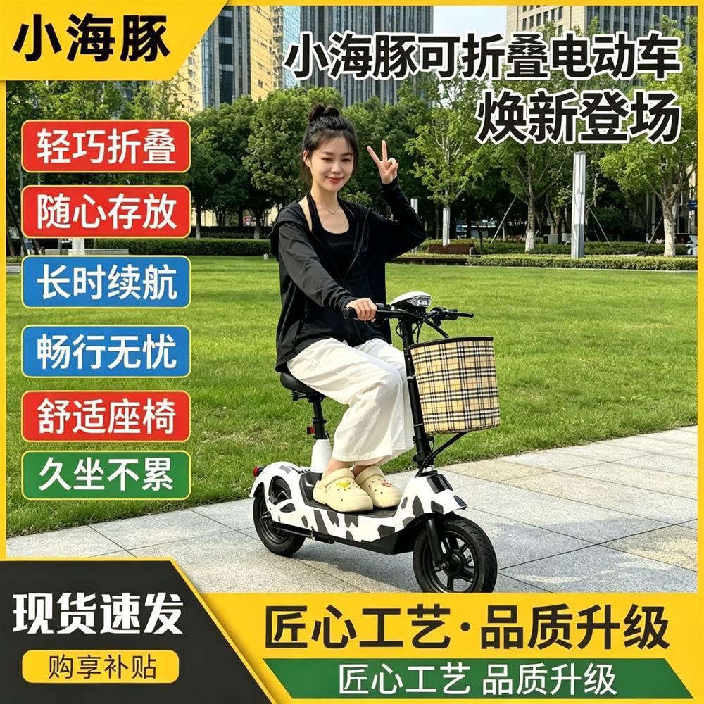 小海豚迷你电动车可折叠电瓶车
