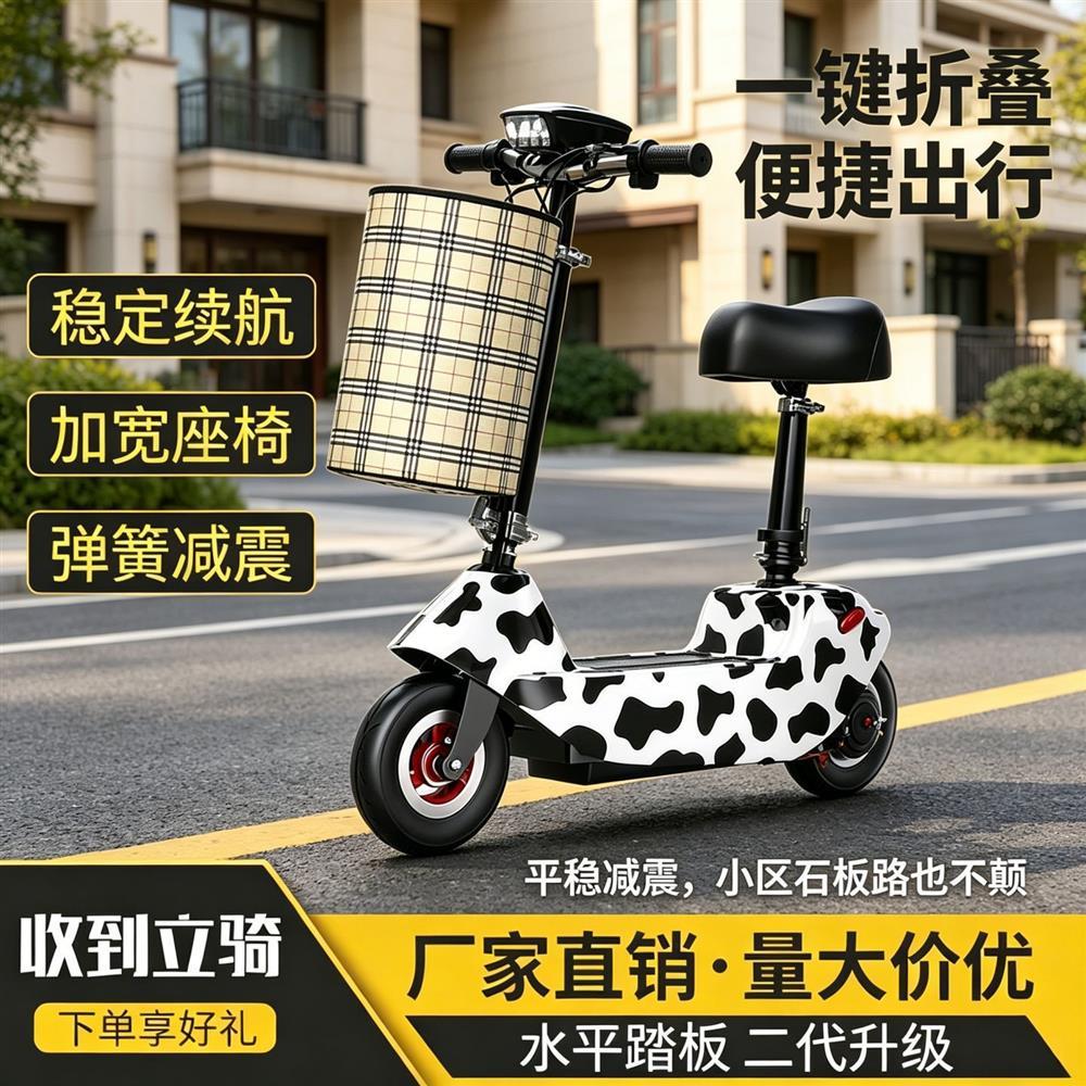 折叠车电动车带电池小型可折叠