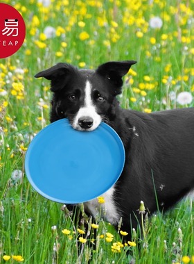 飞盘/宠物AB1sq801-狗玩具抛掷耐咬训练户外互动边牧金
