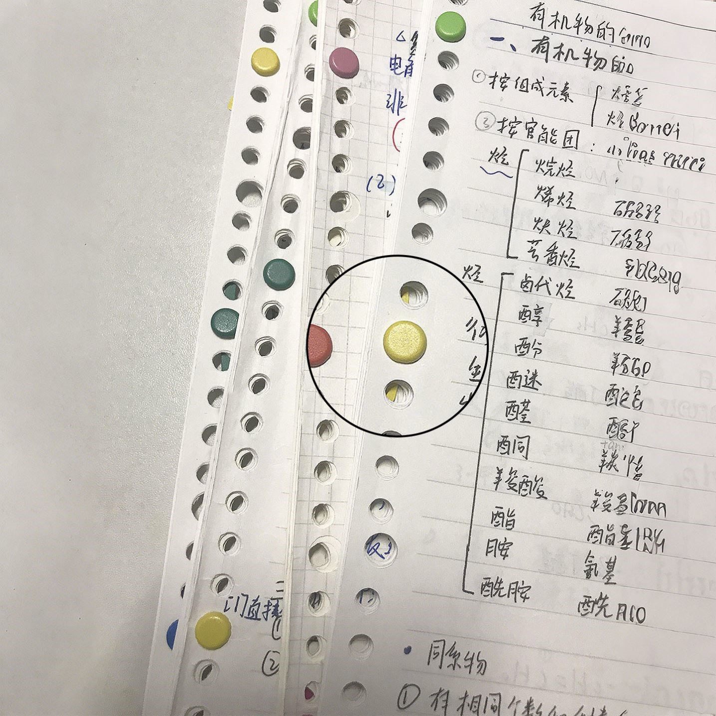 活页纸固定扣双脚钉a4纸装订学生考研笔记整理上班文件收纳神器,办公设备/耗材/相关服务,装订耗材,淘宝优惠券,粉丝福利购,淘宝优惠卷
