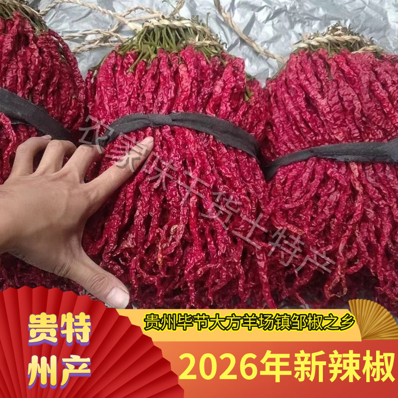 贵州毕节大方本地皱椒二荆条