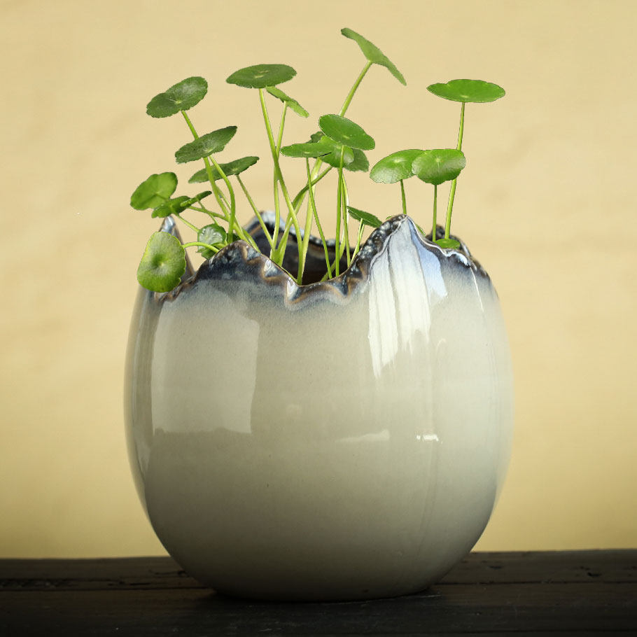 铜钱草花盆水仙绿萝盆无孔陶瓷家用一叶莲碗莲水培特价清仓养鱼盆