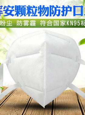 辉安HA901防粉尘KN95防雾霾工业粉尘PM2.5男女耳带式折叠口罩