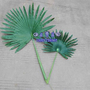 树皮装饰造景 包水管装饰管道遮挡 椰毛棕榈树毛椰子皮 天然棕毛