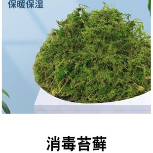 乌龟冬眠箱过冬用品套餐装备保温恒温巴西龟草龟金钱龟缸苔藓椰土