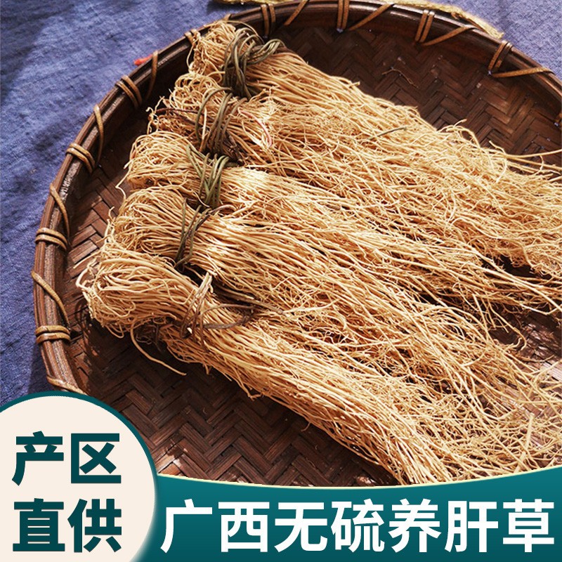 养肝草广西特产龙须草丝线 线根煲汤食材开 胃护肝茶养生汤料散装