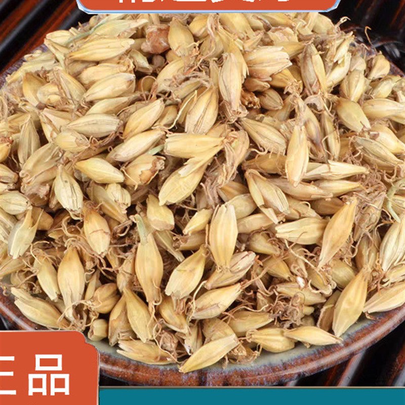 中药材炒麦芽回奶中草药500g麦芽大麦芽茶断奶另售山楂茶炒麦芽茶