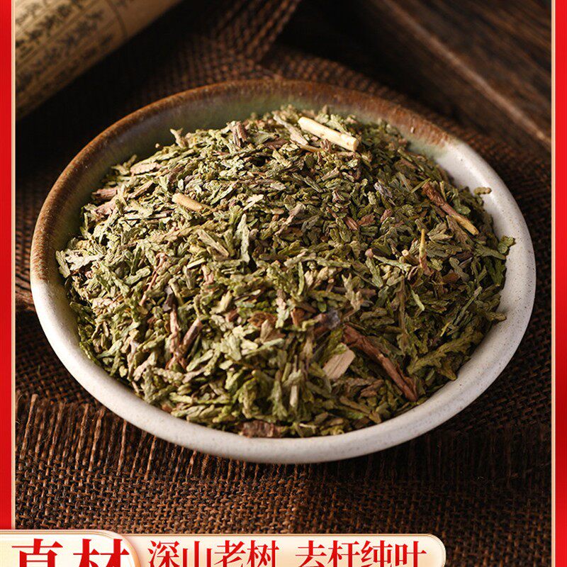 侧柏叶中药材野生侧柏叶侧伯叶洗头扁柏树另有首乌当归无患子