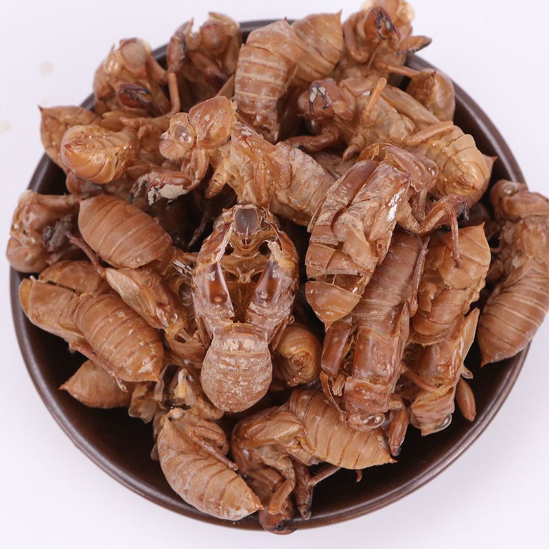 中药材蝉蜕 天然无硫蝉衣 知瞭皮 蝉脱壳金蝉衣自然脱落500克包邮