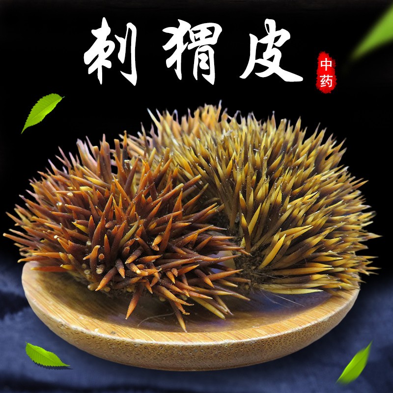 正宗刺猬皮中药材正品特级名贵仙人衣猬皮刺鼠皮刺球子猬鼠皮毛刺