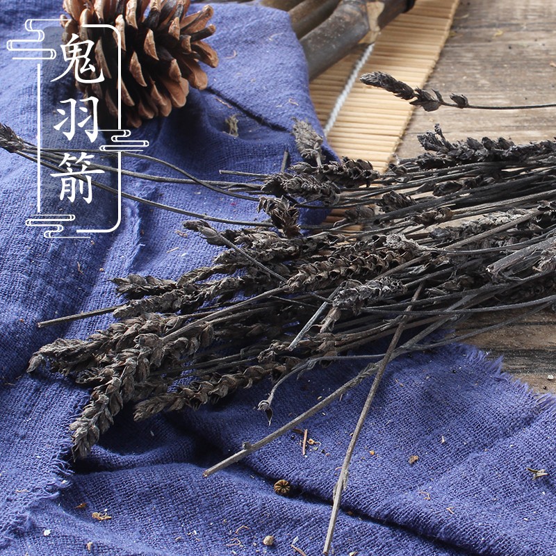野生鬼羽箭500克 鬼羽箭 黑草 黑骨草 羽箭 中药材供应 2件包邮
