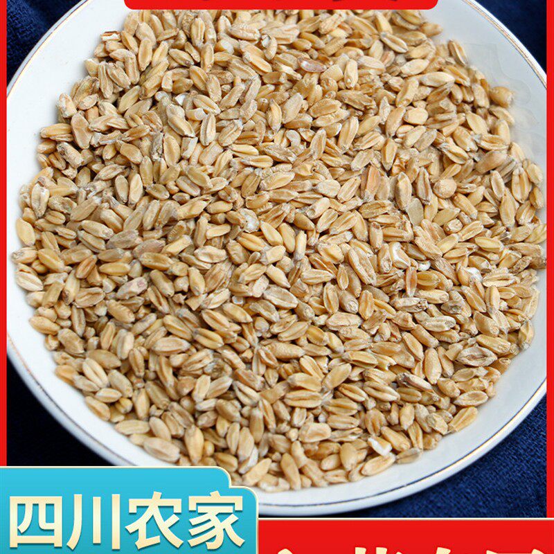 正宗浮动小麦中药材500g止汗茶小麦茶新到货干小麦可与甘草红枣混