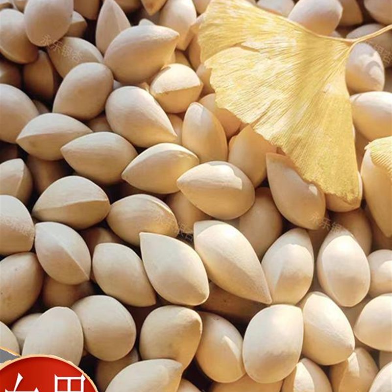 白果干货500g克中药材正品干果银杏果大颗带壳大白果新鲜生白果仁