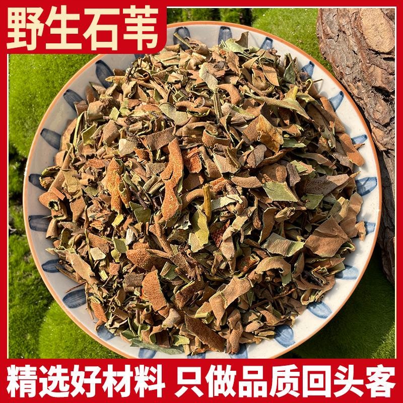 石韦草石韦500g克  石苇小叶石韦茶 石伟 石韦非野生草药