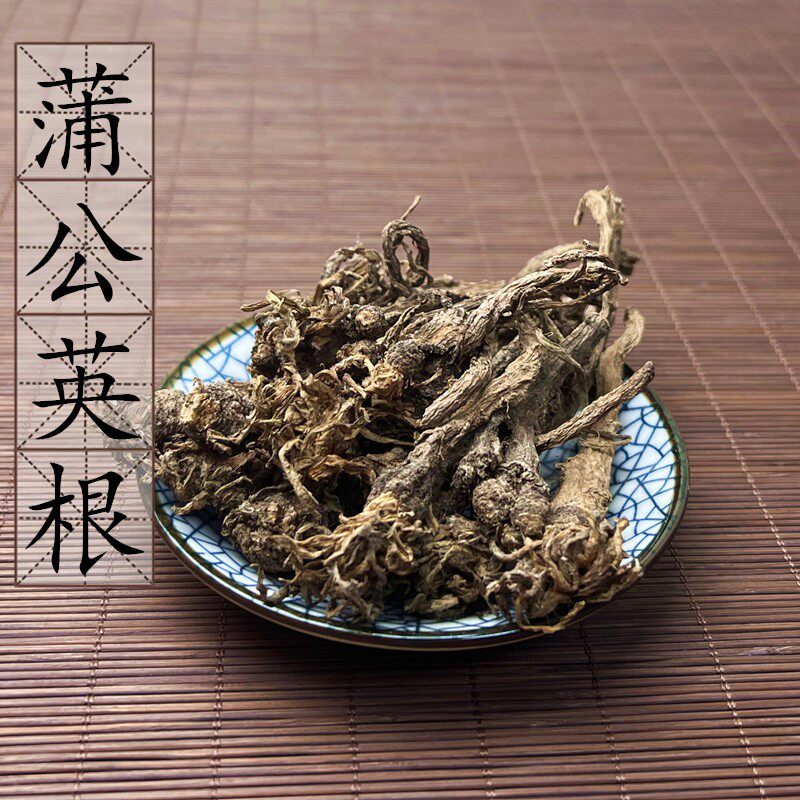 野生蒲公英根500克 蒲公英根茶长白山婆婆丁花茶纯带根 2件包邮