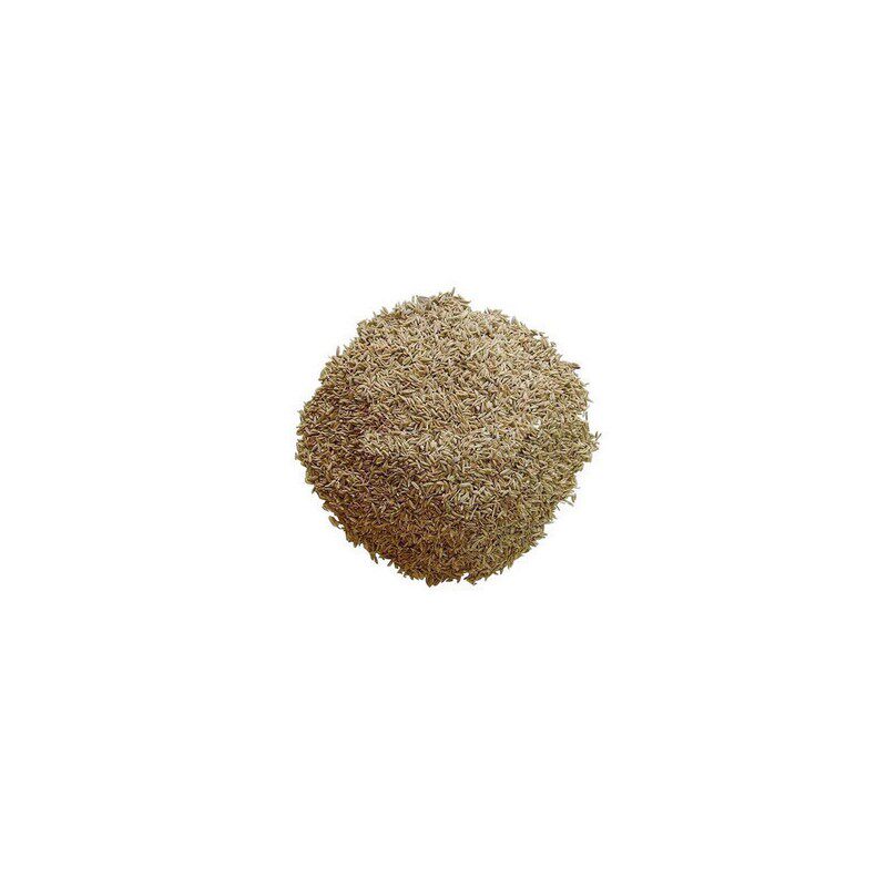 中药材 香料特级纯正孜然粒 家用非孜然粉 散装新货 500g克