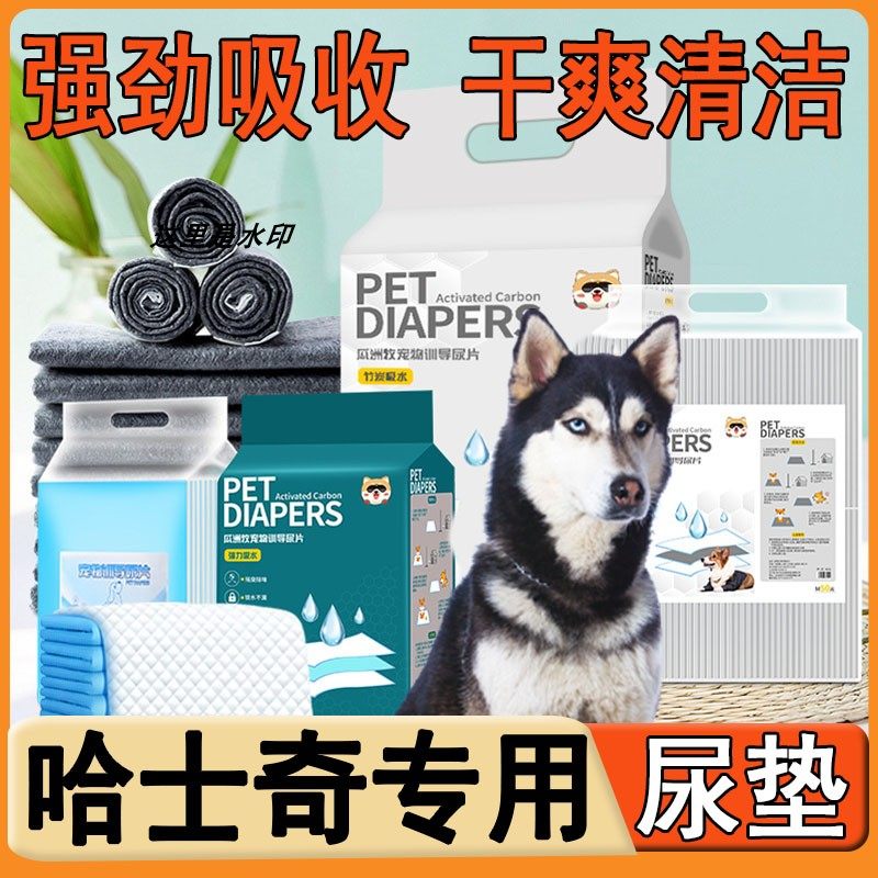 哈士奇专用小狗隔尿垫引导上厕所神器定点排便一次性护理垫超大号,宠物/宠物食品及用品,尿片/尿垫/护垫,淘宝优惠券,粉丝福利购,淘宝优惠卷