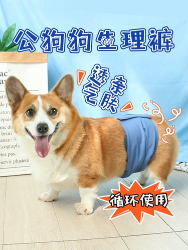 Педань -собака гонг собака физические брюки медицины постоянные брюки брюки, чтобы предотвратить преследование периода эстрального периода.