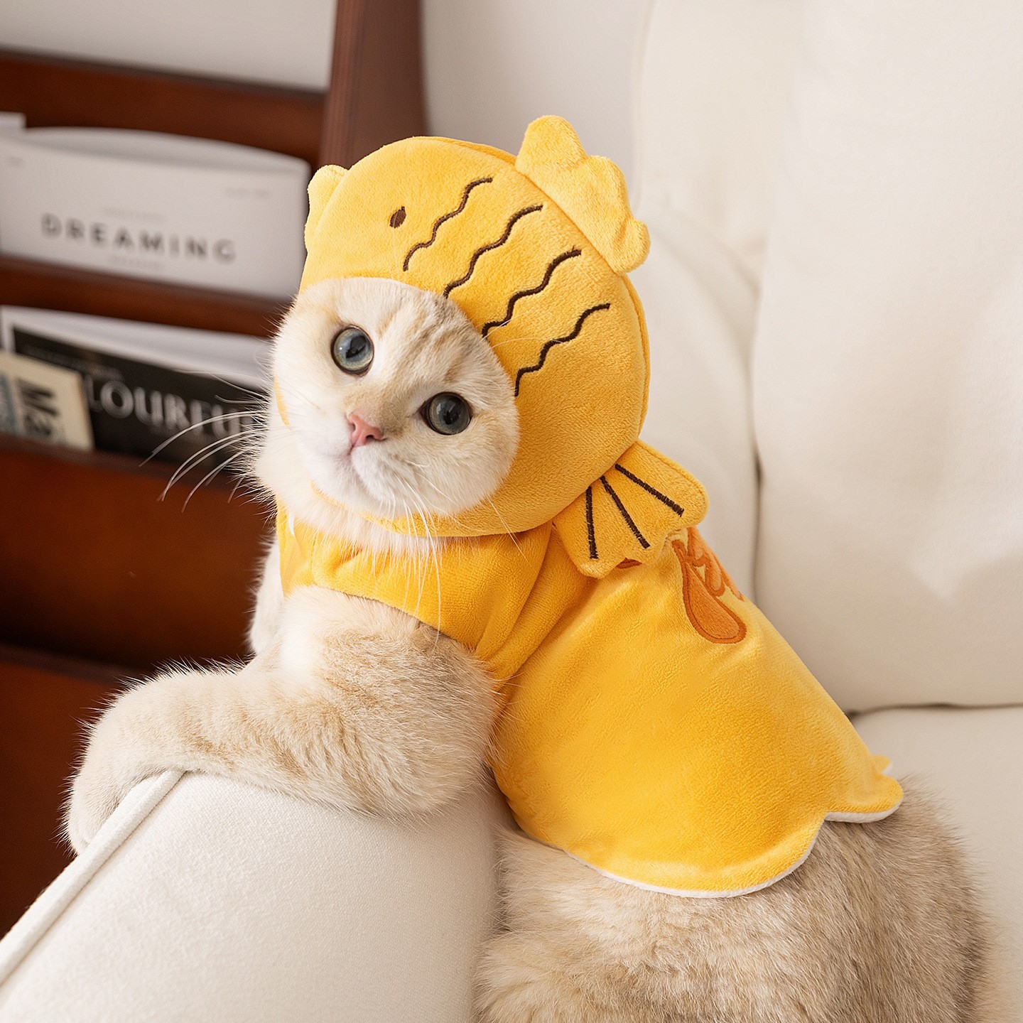 宠物猫穿的衣服2025年新款狗狗秋冬加厚保暖小蜜蜂绒衣比熊泰迪