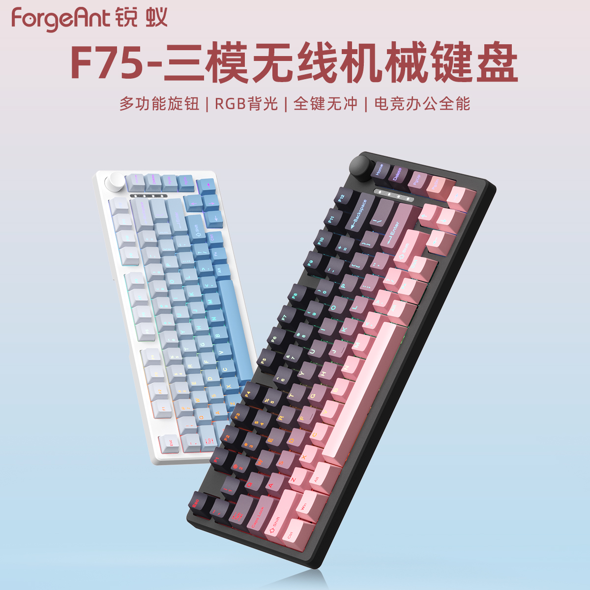 锐蚁F75机械键盘有线81键游戏电