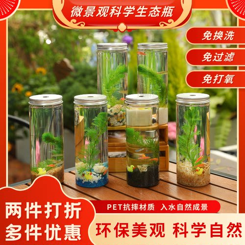 科学生态瓶创意水族箱造景斗鱼缸免换水免打理桌面DIY造景鱼缸 - 封面