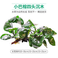 Fish tank driftwood, aquatic plants, lazy person's aquatic plants, live negative centipede, water purification, oxygenation, landscape decoration, base sand package thumbnail 6