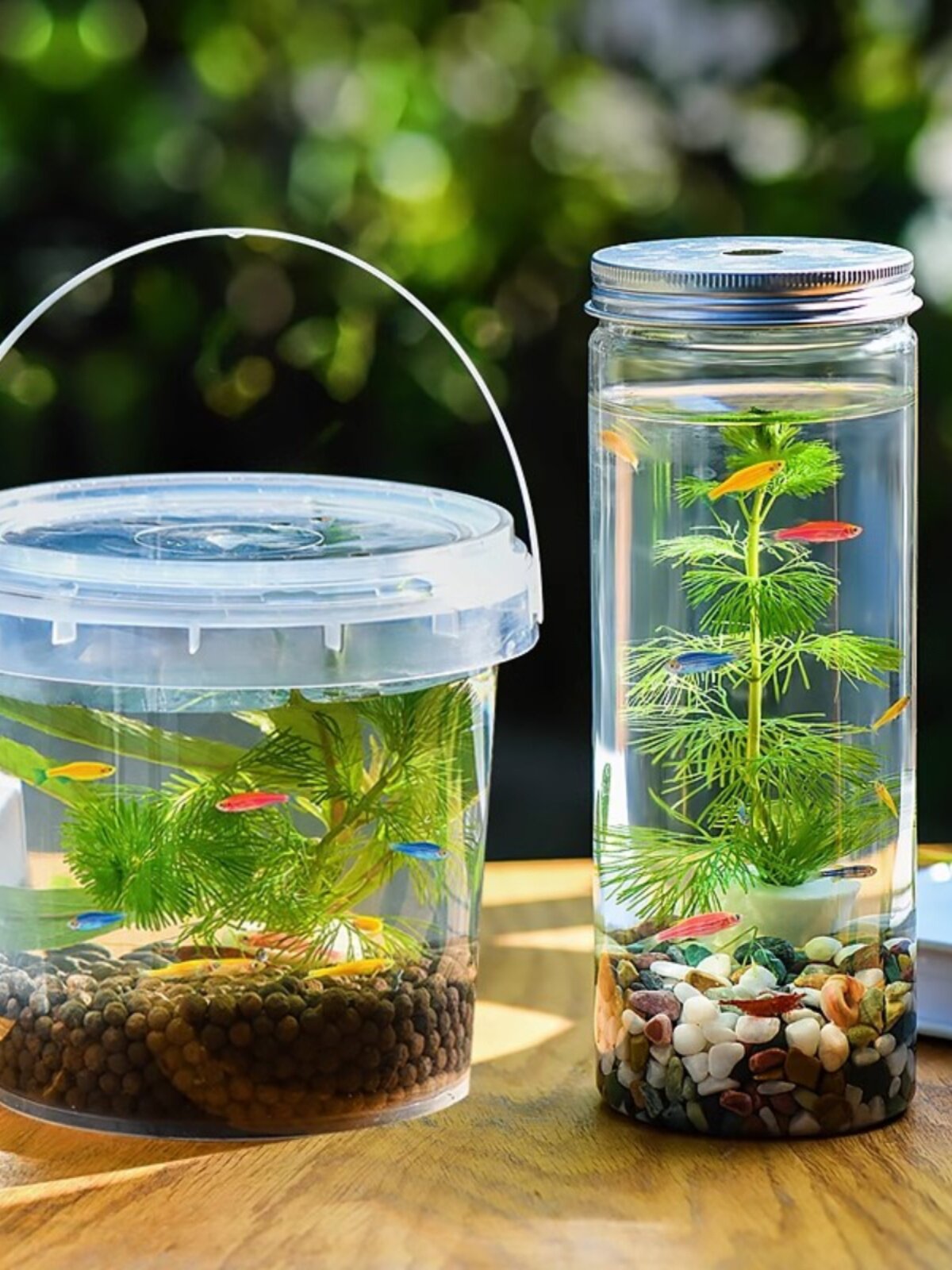 创意水族箱生态瓶微景观造景斗鱼缸免换水免打理桌面diy造景鱼缸