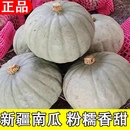 新疆银板栗南瓜金丝老瓜贵族板栗南瓜孕妇宝宝辅食代餐香甜粉糯