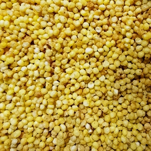 新疆塔尔米哈萨克奶茶伴侣熟小米黄米粥速食即食干粮杂粮500g特产