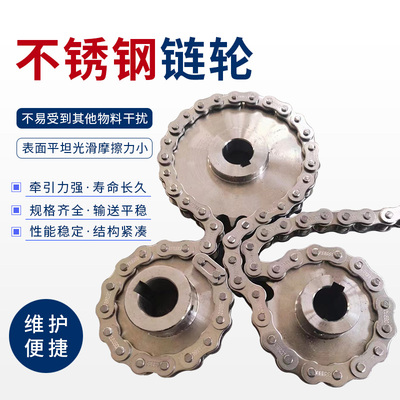 不锈钢齿轮链轮双排传送件4分6分8分06B08B工业传送双节距大链轮