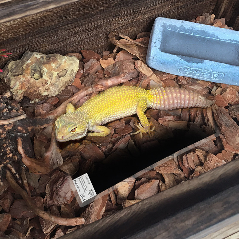 加热垫爬宠猫狗爬虫箱带旋转开关温控防水5-7-10-14-20-28-35-45w,珠宝/钻石/翡翠,翡翠裸石/蛋面,淘宝优惠券,粉丝福利购,淘宝优惠卷