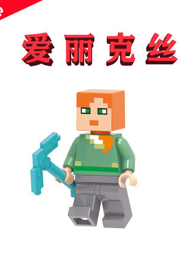 我的世界21169蘑菇岛X0295爱丽克丝MODS第一次冒险XH1569积木玩具