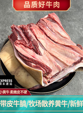新鲜现杀现发带皮牛腩肉 五花腩 坑腩 白肚腩 正宗农家散养小黄牛