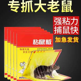 超强力粘鼠板捉粘大老鼠贴沾胶家用室内扑抓逮老鼠粘灭鼠捕鼠