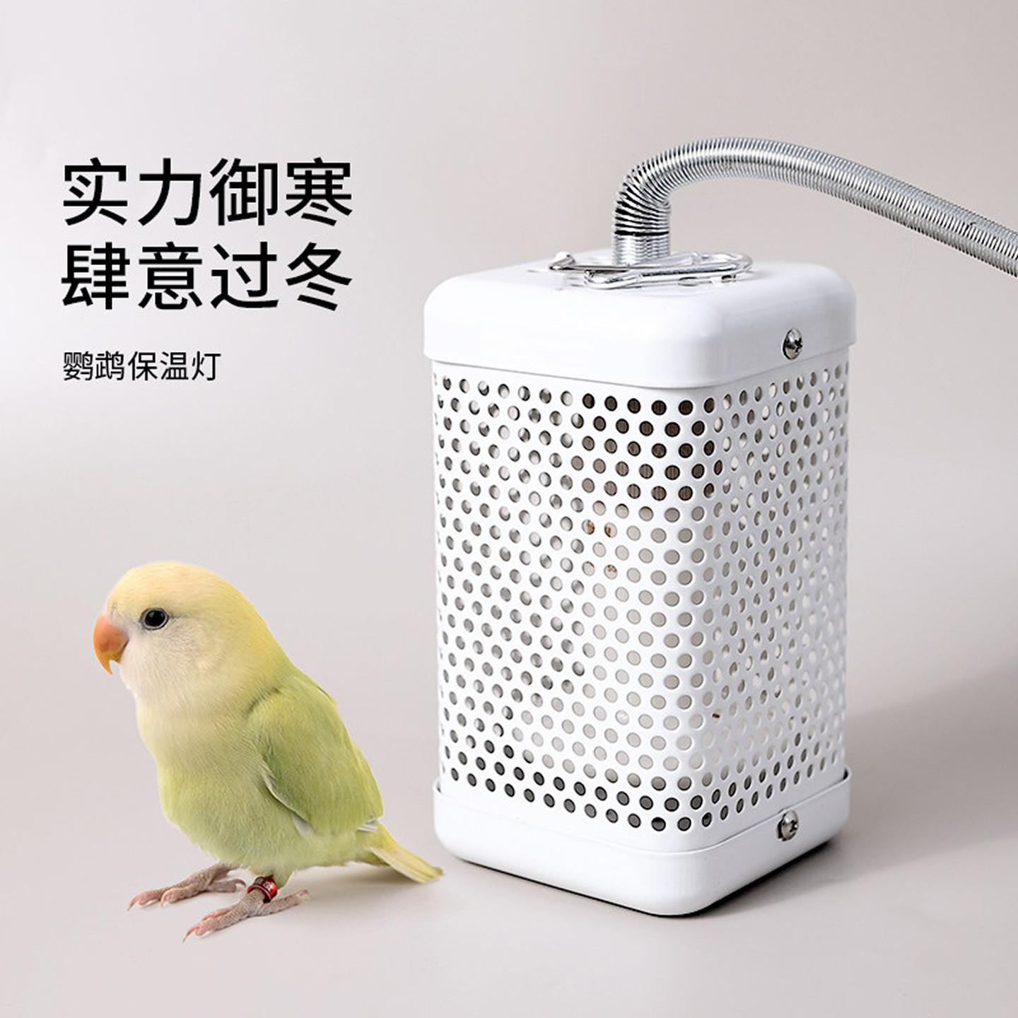 鹦鹉专用保温灯陶瓷加热耐啃咬图片