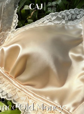 CAJ轻薄蝴蝶蕾丝轻奢缎面V领丝光性感无钢圈舒适小胸聚拢文胸内衣